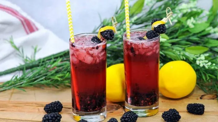 Muddled Blackberry Gin Cocktail with straws and lemon peel, blackberries on wooden table and cocktail picks. Greenery and lemonds behind.