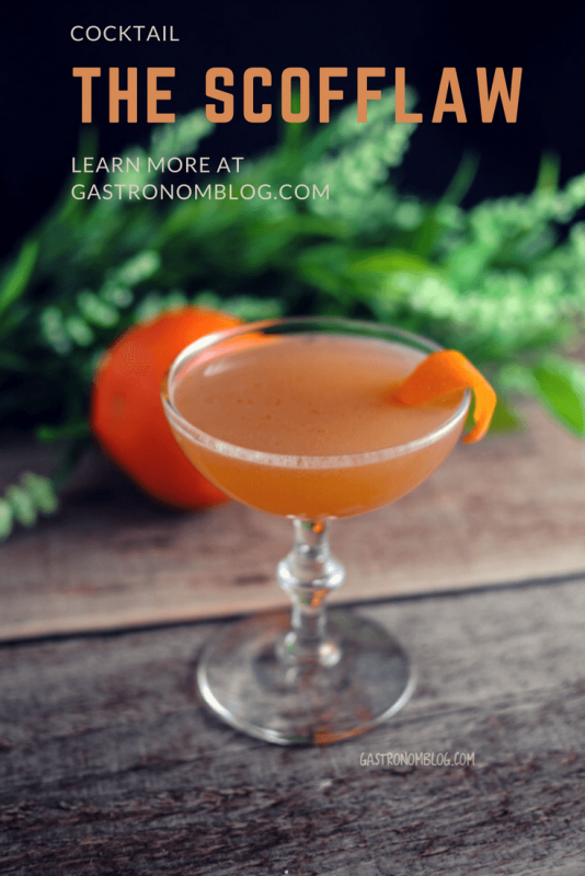 The Scofflaw Cocktail, orange drink in coupe with orange peel. Orange and greenery behind coupe.