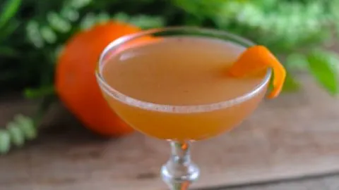 The Scofflaw Cocktail, orange cocktail in coupe with orange and greenery behind coupe