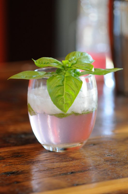 Rhubasil Cockail in a glass with a bunch of basil