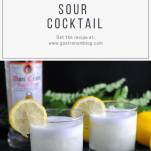 Pisco Sour Cocktail - pisco, lemon juice, egg white