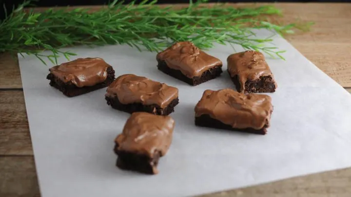 Brownies on parchment paper, greenery in background