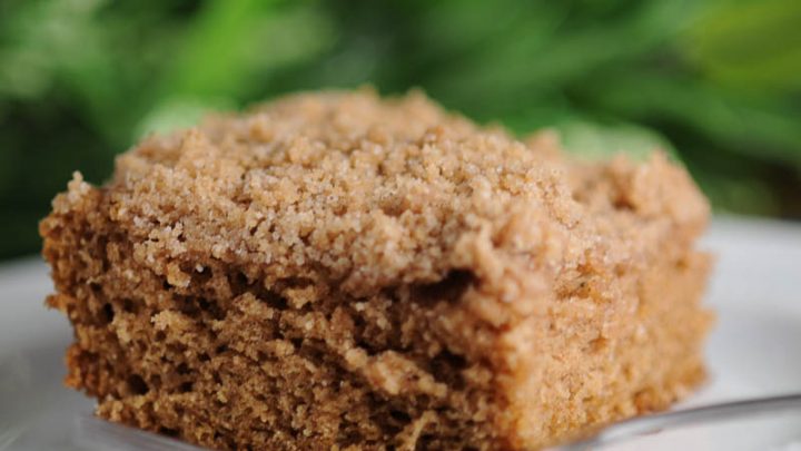 Coffee cake with streusel on top. and fork on white plate, greenery behind