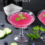 Pink cocktail in coupe, cucumber slices and blueberries, gin bottle behind