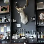 Dark gray walls with alcohol bottles and white stuffed deer head