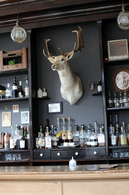 White deer stuffed head, on dark gray wall with alcohol bottles behind bar