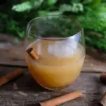 Tan colored cocktail in glass with ice and cinnamon sticks, greenery in background