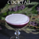 Purple cocktail in coupe, white cream foam top