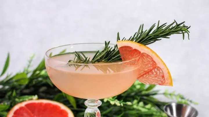 Pink elderflower cocktail in coupe with grapefruit slice and rosemary sprig. Grapefruit and flowers in background