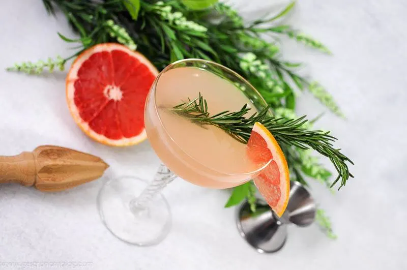 French Tart cocktail in coupe with grapefruit wheel and rosemary sprig. Grapefruit with flowers in the background