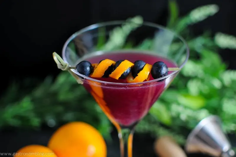 Garnet Martini in martini glass, orange and blueberries on cocktail pick
