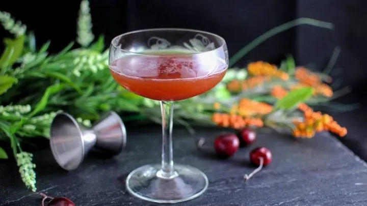 Blood and Sand Cocktail - red cocktail in coupe, jigger, cherries and flowers behind