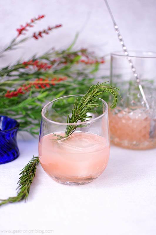 Rosada Cocktail in a glass with rosemary sprig. Mixing glass, greenery and juicer in background