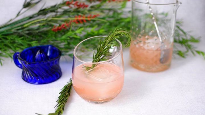 Pink cocktails in glasses with large ice cube. rosemary sprig garnish. Mixing glass in background with bar spoon, blue juicer, greenery behind