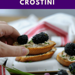 Blackberry Fig Goat Cheese Crostini appetizers