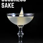 For Goodness Sake Cocktail, in coupe with slice of pickled ginger in front of black background