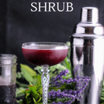 Purple cocktail in coupe, shaker and greens behind