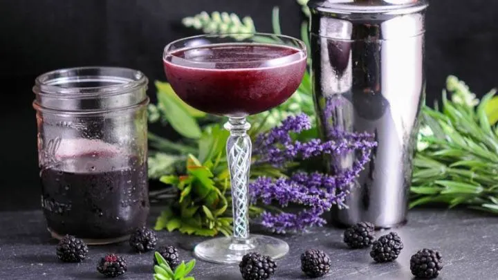 Brandy and Blackberry Lavender Shrub Cocktail - purple cocktail in coupe. Purple shrub in jar, silver shaker, blackberries and flowers behind glass