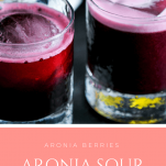 red Aronia Whiskey Sour Cocktail in rocks glasses
