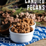 Pecans in a white bowl on a blue and white napkin