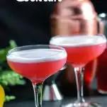 Clover Club Cocktail - pink cocktails with white foam in coupes. Copper shaker, flowers in background
