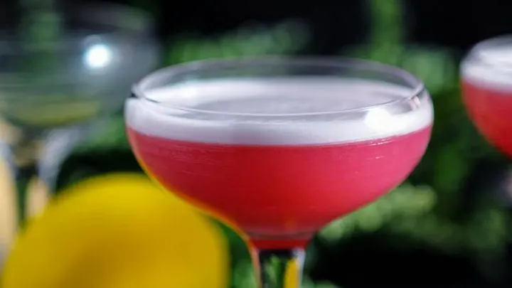 The Clover Club Cocktail - pink cocktali with white foam in coupe, lemon and flowers in background