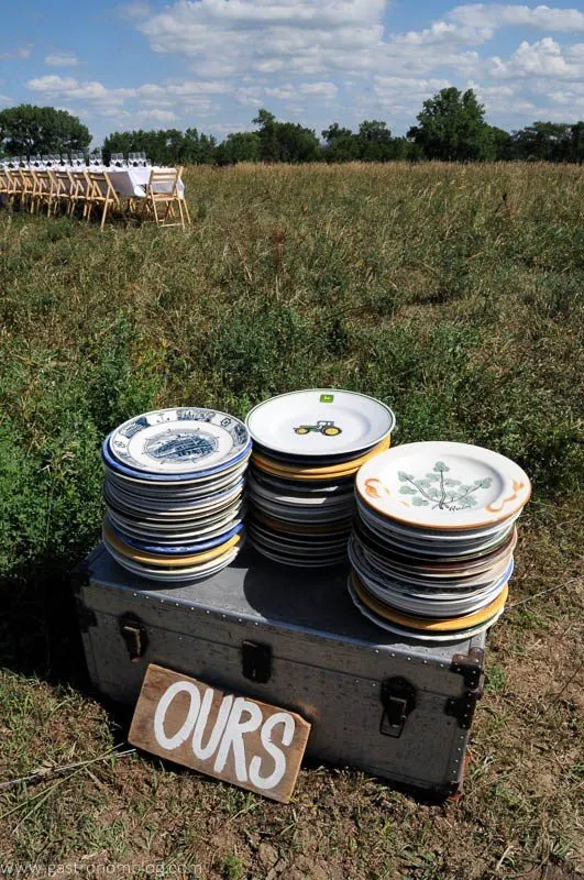 Plates on trunk in a field