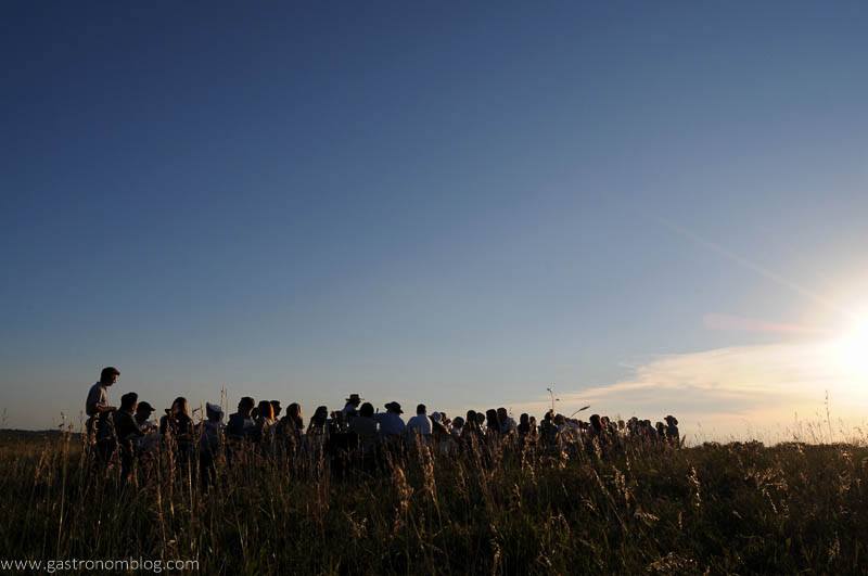 Long picture of people all at long table for dinner in a cow pasture