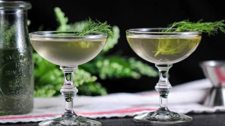 Rhubarb fennel gin cocktails in coupes with fennel frond garnishes. Red/white napkin, jigger, jar and flowers behind