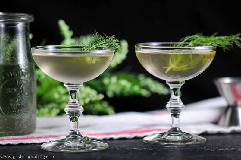 Rhubarb fennel gin cocktail