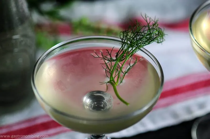 Rhubarb fennel gin cocktail top shot with fennel frond garnish. Red and white napkin and jar behind