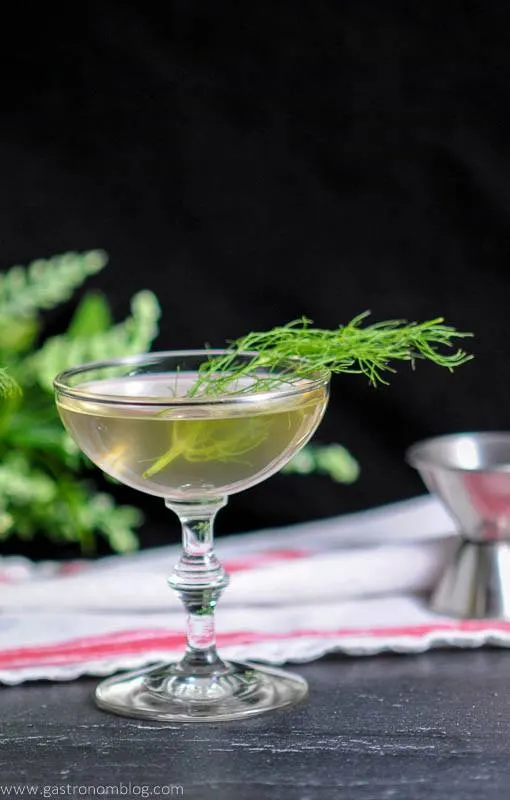 Rhubarb fennel gin cocktail in coupe with fennel front. Red/white napkin and jigger in background