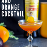 Orange cocktail in coupe, amaro bottle behind