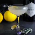 Cocktail in a coupe, gin bottle and lemon behind