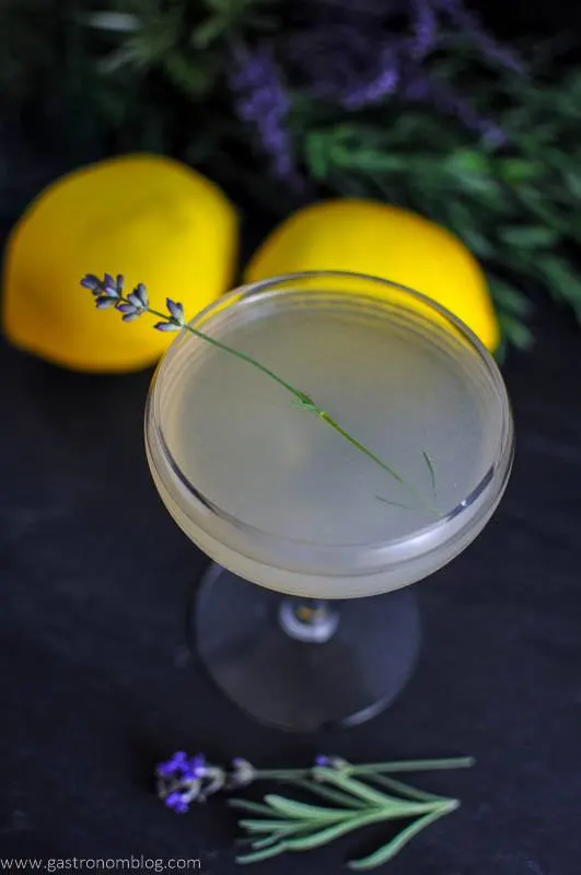 Lavender Bee's Knees cocktail in a coupe