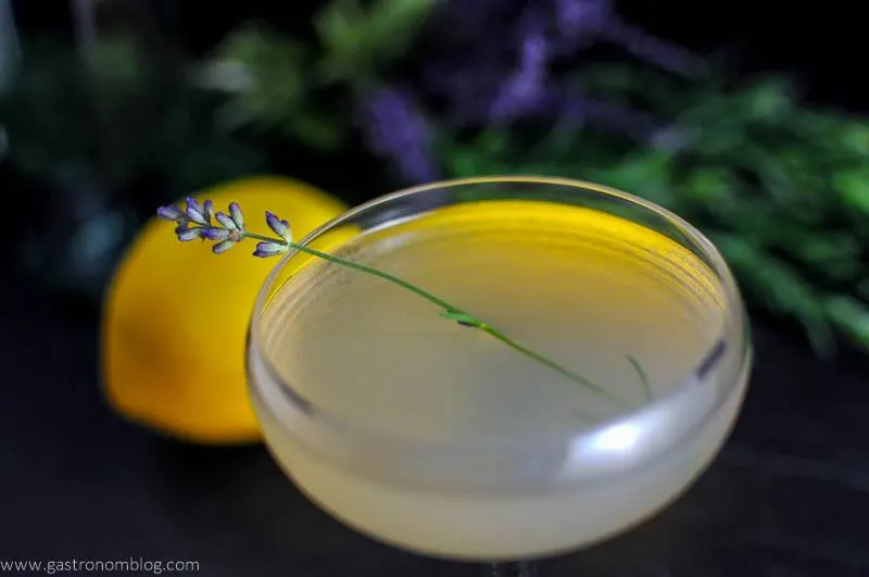 Lavender Bee's Knees Cocktail in coupe with lavender sprig. Lemon and flowers in background