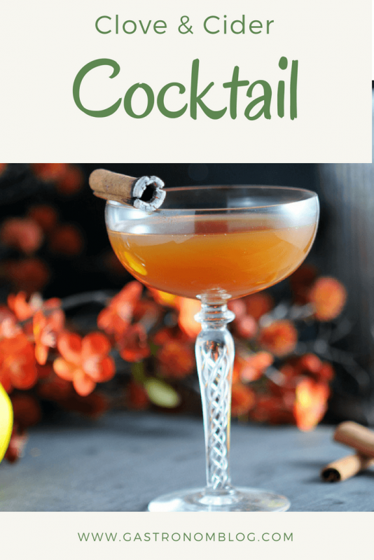 Clove and Cider Cocktail, brown cocktail in coupe with charred cinnamon stick. Autumn flowers in background