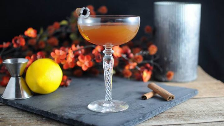 The Clove and Cider Cocktail - orange cocktail in coupe with cinnamon stick. Lemon, jigger, metal container and orange flowers in backgorund