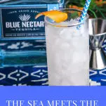 Where the Sea Meets the Sky Cocktail - in a tall glass with a grapefruit peel garnish and blue and white striped straw on a blue and white napkin, blue tequila bottle in background