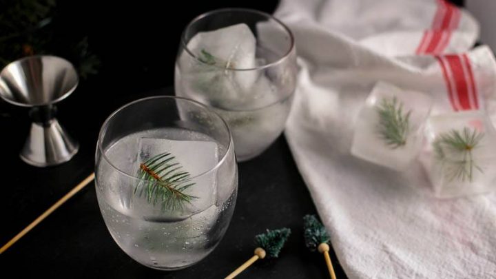 Mountain Pine Gin and Tonic in glasses. Pine filled ice cubes on napkin and in glasses. Jigger and pine tree swizzle sticks