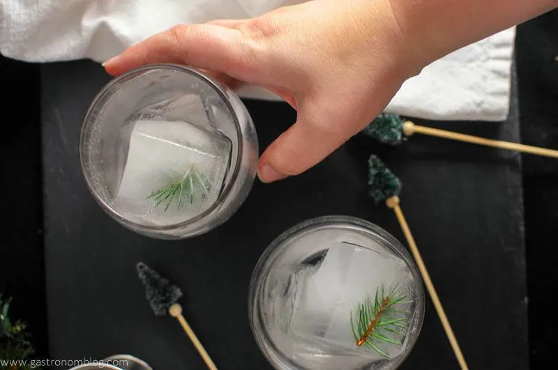 Mountain Pine Gin and Tonic in glasses with pine tree cocktail stirrers and a hand holding a glass