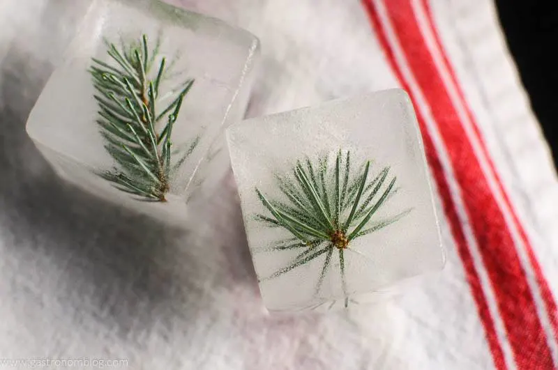 Mountain Pine infused ice cubes on red and white napkin