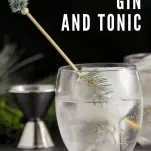 Gin and tonic with evergreen ice cubes in glass. Pine tree swizzle sticks, jigger in background