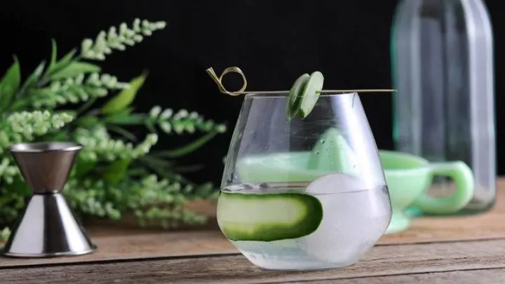 Snap Pin Gin and Tonic Cocktail in glass with cucumber slice and pea on cocktail pick. Jigger, flowers, juicer and bottle behind