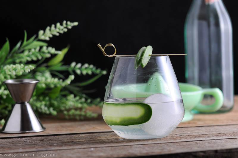 Snap Pin Gin and Tonic Cocktail