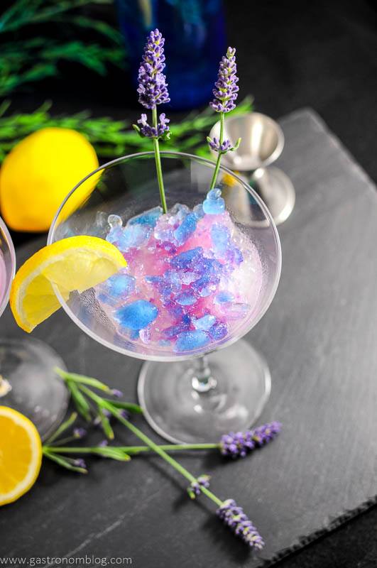 Lavender Lemon Gin and Tonic Granita Cocktail in martini glass with lemon slice and lavender flowers. Lemons, jigger and leaves in background