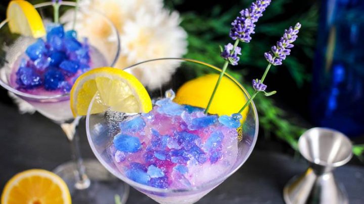 Lavender Lemon Gin and Tonic Granita Cocktail in martini glasses, blue ice. Jigger, flowers and lemon in background