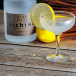 Opaque cocktail in coupe with lemon wheel, iichiko bottle and lemon in background