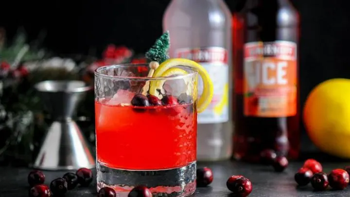 A festively garnished Holiday Berry Sparkler makes for a great cocktail at holiday parties!