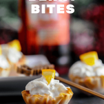 Mini Berry Bites with whipped cream and orange slices